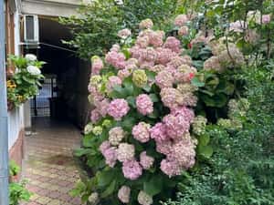 Apartament 2 camere in vila | 9' Metrou Piata Muncii  | mobilat-utilat — miniatura 6