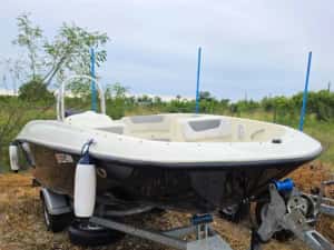 2016 - Bayliner Element E16 si Peridoc