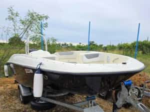 2016 - Bayliner Element E16 si Peridoc — miniatura 10