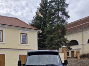Mercedes Sprinter 319 3.0 V6 Platforma auto Euro 6 Autoplatforma nu IVECO daily — miniatura 7