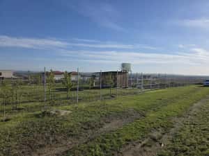 Proprietar vând loc de casa /grădină Valea Lupului / Rediu — miniatura 4