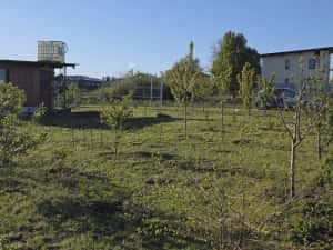 Proprietar vând loc de casa /grădină Valea Lupului / Rediu — miniatura 7