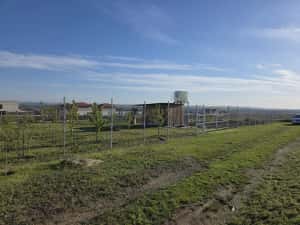 Proprietar vând loc de casa /grădină Valea Lupului / Rediu — miniatura 10