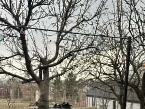 Curatare tapiterie auto ,covoare si canapele