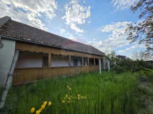 Gospodarie de vanzare in Giulvaz, judetul Timis — miniatura 3
