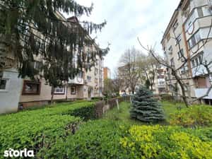 Apartament spatios, frumos renovat, ultracentral, Arad — miniatura 5