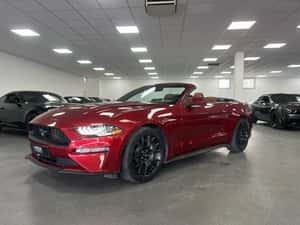 Ford Mustang Cabrio 2019