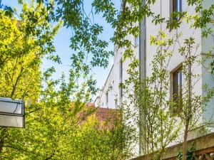 Apartament 3 camere parter in vila plus garsoniera demisol si curte. — miniatura 1