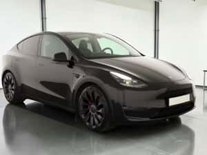 TESLA MODEL Y PERFORMANCE – 534 CP — miniatura 2