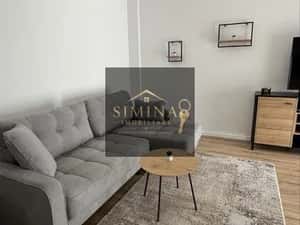 Apartament 2 Camere De Inchiriat, Crinului Residence — miniatura 4