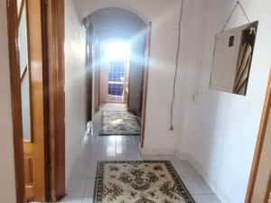 Viziru 3 Libelula 4 camere confort 1 D — miniatura 3