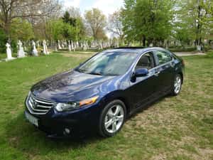 Honda Accord 2011 echipare Executive