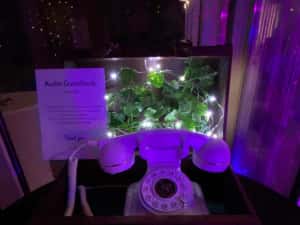 Cabina foto, video 360, fum greu, baloane cu fum, glambot — miniatura 7