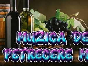 Stick/Card/CD-Muzică Petrecere,Populară,Manele Sau La Cererea Clientul — miniatura 5