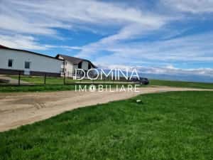 Vânzare teren extravilan 25.254 mp, situat în localitatea componentă Preajba — miniatura 2