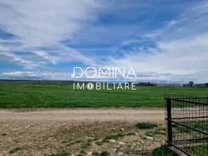 Vânzare teren extravilan 25.254 mp, situat în localitatea componentă Preajba — miniatura 3