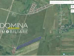 Vânzare teren extravilan 25.254 mp, situat în localitatea componentă Preajba — miniatura 4