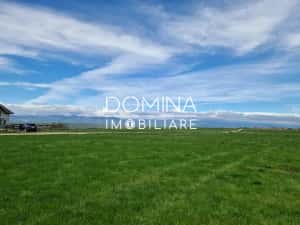 Vânzare teren extravilan 25.254 mp, situat în localitatea componentă Preajba — miniatura 6
