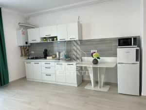 Apartament cu 1 camera mobilat si utilat in Giroc la asfalt. — miniatura 3