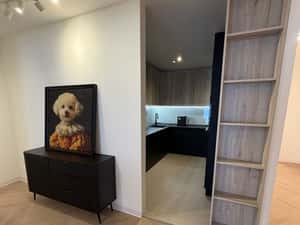 Apartament 4 camere Herastrau — miniatura 5