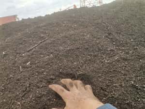 Compost Pământ galben nisipos pentru gazon Pamant negru vegetal — miniatura 6