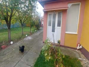 Casa individuala 4 camere si garaj in Pischia amenajata mobilata utilata pozitie excelenta