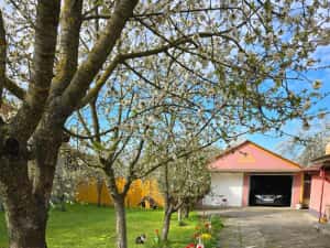 Casa individuala 4 camere si garaj in Pischia amenajata mobilata utilata pozitie excelenta — miniatura 2