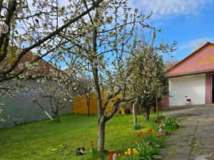 Casa individuala 4 camere si garaj in Pischia amenajata mobilata utilata pozitie excelenta — miniatura 3