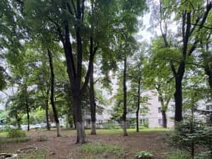 Apartament 2 camere, Secuilor,aproape metrou Brancoveanu — miniatura 5