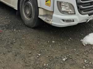 Dezmembrez DAF XF EURO 6 — miniatura 9