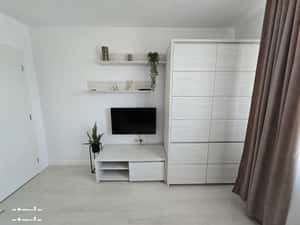 Apartament de inchiriat in Vatra veche din Mosnita Noua! — miniatura 3
