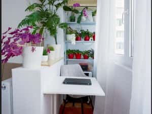 Proprietar 3 camere, 71mp, renovat, Rahova, Malcoci – Petre Ispirescu — miniatura 5