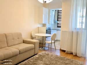 Apartament de inchiriat 1 camere zona Copou-Stadion Emil Alexandrescu