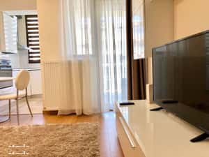 Apartament de inchiriat 1 camere zona Copou-Stadion Emil Alexandrescu — miniatura 3