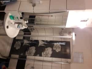 1 cam dec centrala proprie etaj intermediar zona Gheorghe Lazar — miniatura 5