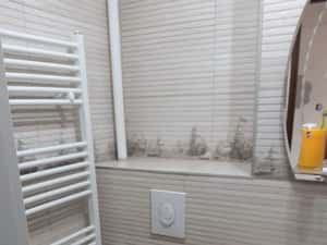 Garsoniera zona ASTRA — miniatura 6