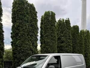 Volkswagen Transporter — miniatura 4