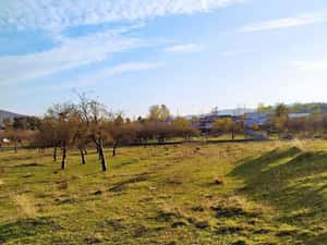 Direct de la proprietar Teren intravilan DE VÂNZARE Campina-PH, cartier Voila (negociabil) — miniatura 3