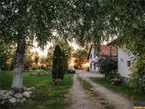 3D! La DN, Spatiu restaurant comercial activitati divertisment Halchiu, Brasov — miniatura 3