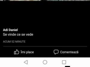 Vând pui albi și rasă mixta ( livrare la domiciliu) — miniatura 4