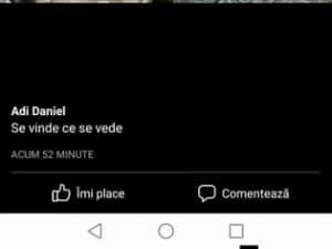Vând pui albi și rasă mixta ( livrare la domiciliu) — miniatura 10