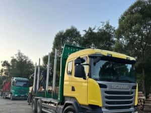 Scania 2017 / 540.000 km / + / REMORCĂ DOLL / CAMION FORESTIER — miniatura 5