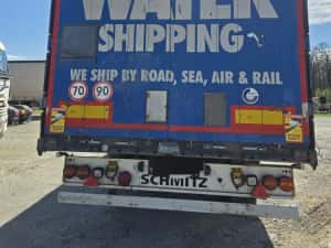 Schmitz 2018 standard — miniatura 4