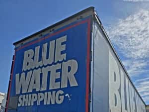 Schmitz 2018 standard — miniatura 8