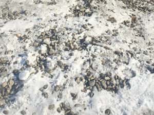 Diferential grup spate Jaguar XF an 2008 motor 2.7 tdv6 207 cp 276DT