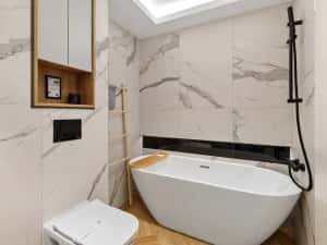 Cazare Regim Hotelier - Palas/Newton/Copou/Tudor — miniatura 6