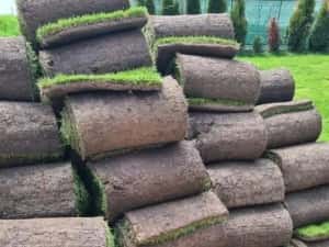 Rulouri de gazon natural