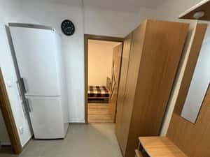 Închiriere Garsonieră Brazda lui Novac — miniatura 3