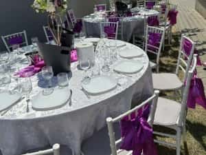 Vila petrecere Bucuresti - Majorat - Gender Reveal - Vila Petreceri — miniatura 8