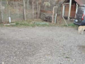 Anvelope/roti  iarna MAXXIS SS-01 PRESA SUV ICE 215/70 R15 98 Q — miniatura 3